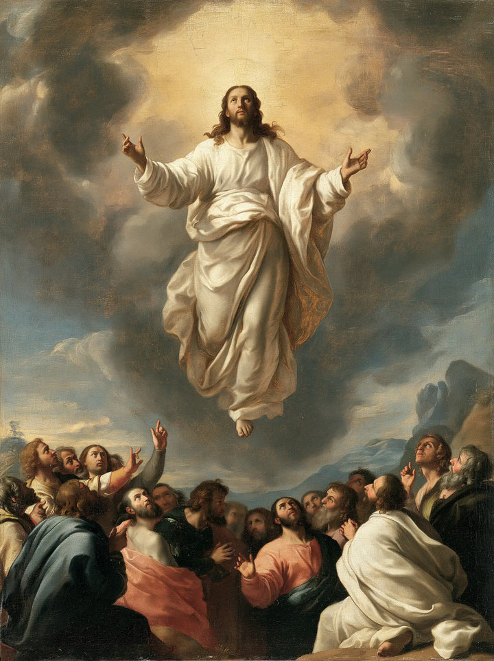 The Ascension of Jesus Christ - Florentine Renaissance · Portrait n° 15