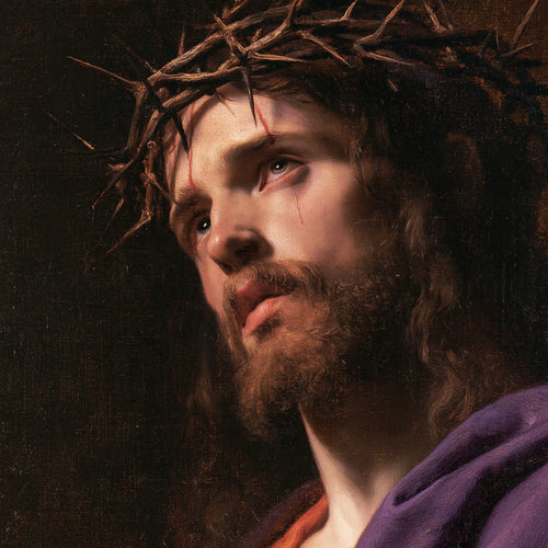 Jesus crowned with thorns in sacred sorrow in Sacred Sorrow style, square Christian artwork no. 2