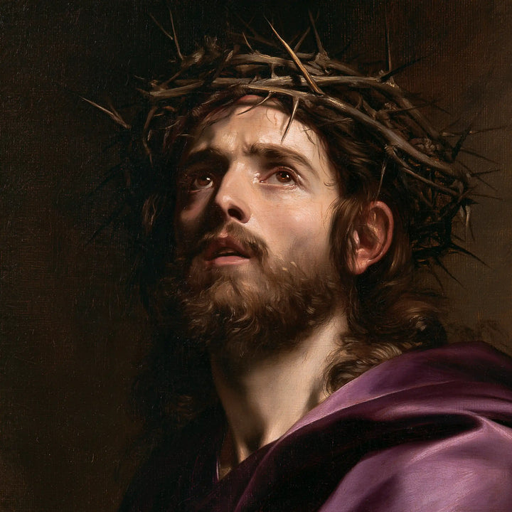 Jesus Crowned with Thorns — The Face’s Light above Velvet