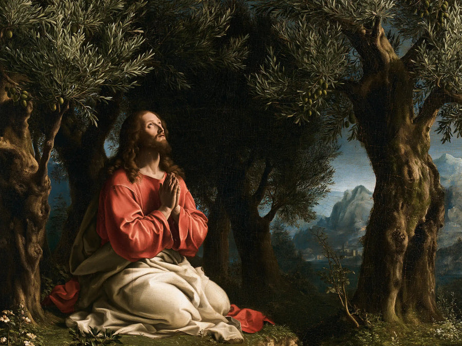 Jesus in Gethsemane — Linen at the Mountain’s Gates