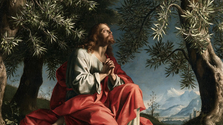 Jesus in Gethsemane — The Rose Cloak Facing the Mountains