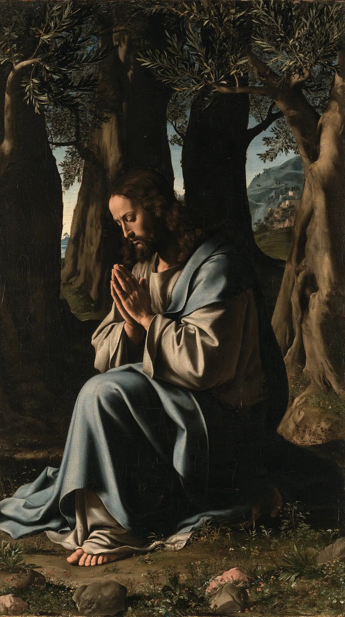 Jesus in Gethsemane — Quiet Grey beneath the Olive Trees