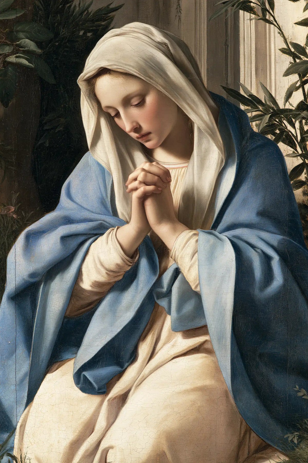 Virgin Mary in Prayer — Joined Hands beside the Pale Face